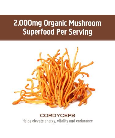 Om Mushroom Superfood Cordyceps Organic Powder - 3.5 oz for Energy, Stamina & Sports Performance - Buy Online on GoSupps.com