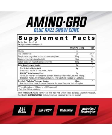 iSatori Bio-GRO Protein Synthesis Amplifier - Unflavored (60 Servings) & iSatori Amino-GRO BCAA Powder - Blue Razz Snow Cone (30 Servings) - Buy Online on GoSupps.com
