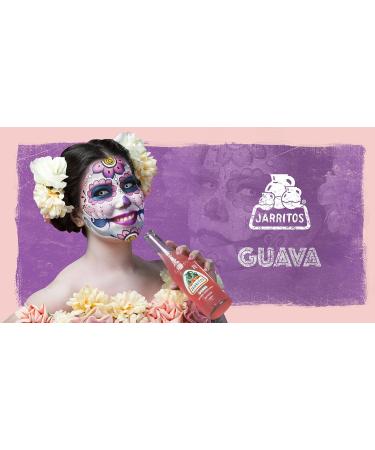  Jarritos JARRITOS Guave Lemonade Pack of 12 disposable bottles 12 x 370 ml - Buy Online on GoSupps.com