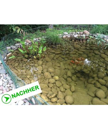 ALGENKILLER Protect - Premium Water Care for Garden & Swimming Ponds (1.5 kg for up to 100 000 liters) - International Shipping Available - Buy Online on GoSupps.com