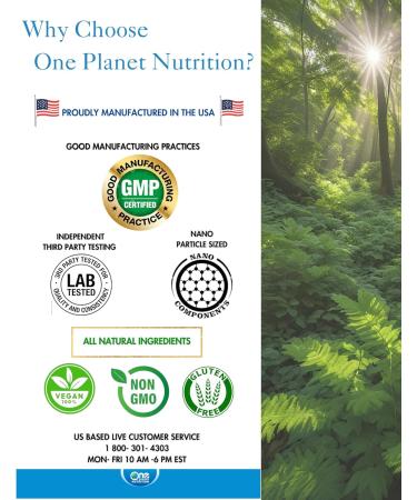One Planet Nutrition Nano Andrographis 500 mg Veggie Capsules (120 Servings) Andrographis paniculata Extract Nano for Superior Absorption Supports Overall Wellness Non-GMO Vegan Gluten-Free - Buy Online on GoSupps.com