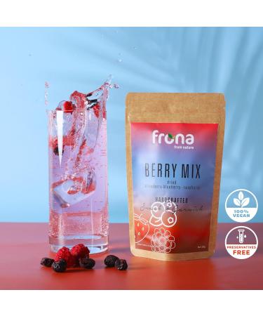 Frona Mini Pack 10g - Dehydrated Fruit Dried Slices- Ideal for Cocktails and Soft Drinks (Berry Mix) - Buy Online on GoSupps.com