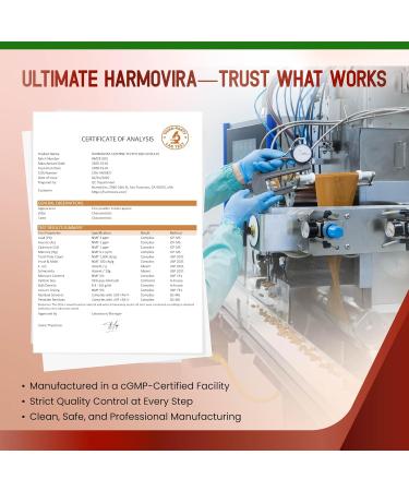 Liposomal Cayenne Pepper Cinnamon Ginger - Support Digestion Wellness Immunity - 180-day Supply 60 count (pack of 2) - Buy Online on GoSupps.com