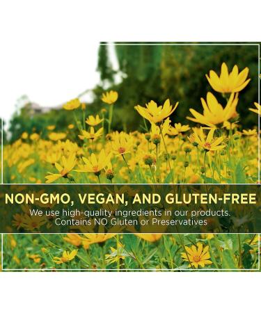 AKI Inulin Jerusalem Artichoke Powder (6oz/170g) - Fiber-Rich Prebiotic for Coffee, Tea, Smoothies & More | Vegan & Gluten-Free - Buy Online on GoSupps.com