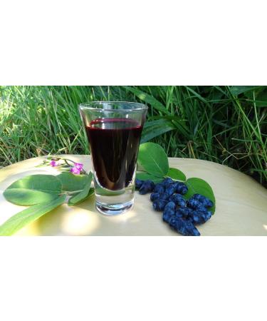  BIOHASKAP BIOHASKAP Vitality Juice 100% Organic Camry Juice 3000 ml - Buy Online on GoSupps.com