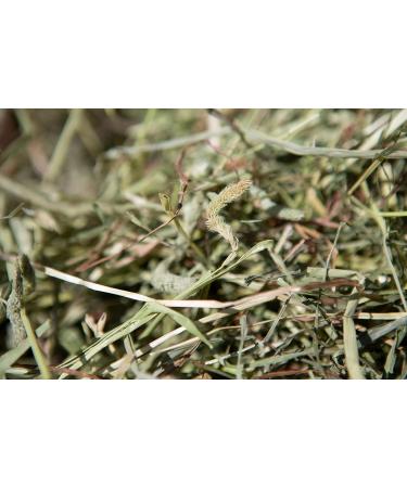 The Happy Hay Company Timothy Rabbit Hay - Fresh Feeding Hay For Rabbits & Guinea Pigs (10KG) 20 g (Pack of 500) - Buy Online on GoSupps.com