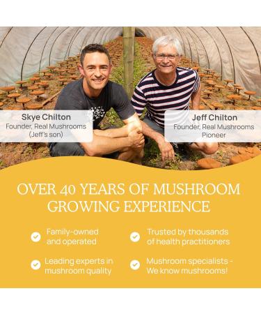 Real Mushrooms Tremella Mushroom Powder Organic Tremella Extract from Fruiting Body for Daily Wellness Routine Vegan, Non-GMO, No Fillers 150 Servings Mushroom Blend Supplements - Buy Online on GoSupps.com