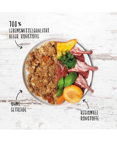 DOG'S LOVE Premium Wet Food - Adult Lamb - Complete Menu Rich and Healthy - Food Grade Dog Food - All Raw Materials - 100% Grain Free (6 - Buy Online on GoSupps.com