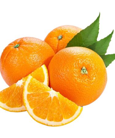 Orange Massage Oil 64 oz (1/2 Gallon) - Buy Online on GoSupps.com