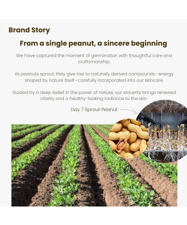 Korean Beauty Hypoallergenic S.P Ringer Skin 150ml Fermented Sprouted Peanut Toner | Hydrating Wrinkle Care Essence | 8-Hyaluronic Acid Complex & Marine Collagen | Sensitive Skin Moisture Balance - Buy Online on GoSupps.com