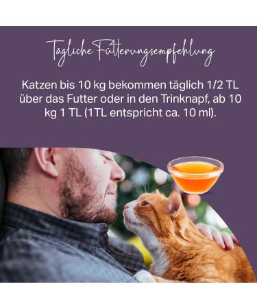 MEDICAT Premium Salmon Oil for Cats 250 ml | Omega-3 Skin & Coat Care | Ship Worldwide - Buy Online on GoSupps.com