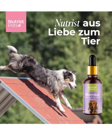 Nutrist NEW: Vegan Natural Worm Treatment for Dogs - Herbal Liquid for Stomach & Intestine Infestation - 50ml Deworming Solution - Buy Online on GoSupps.com