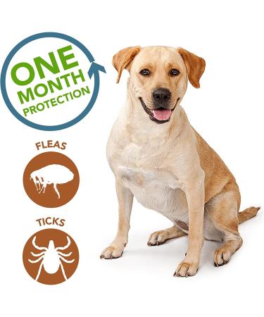Vet's Best Flea and Tick Spot-on Drops - 4 Month Supply (Large) - Buy Online on GoSupps.com