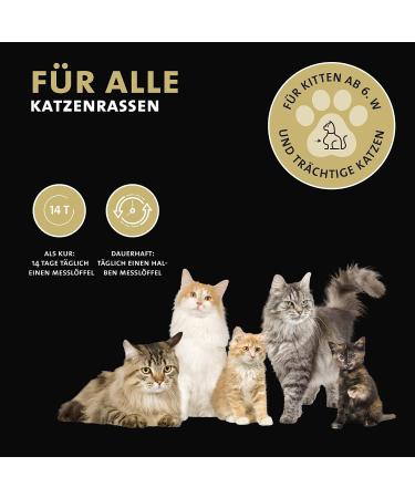 Peticare Wurmkur Powder for Cats | 100% Natural Vegetable Deworming Supplement | 120g for Effective Worm Infestation Control - Petcat Health 3605 - Buy Online on GoSupps.com