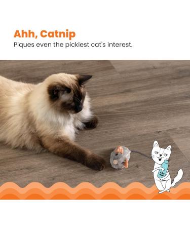 Petstages Squeak Squeak Mouse Plush Catnip Cat Toy - Buy Online on GoSupps.com