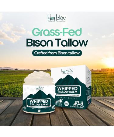 Beef Tallow Balm - Natural Grass Fed Whipped Tallow & Honey - Moisturizing All-Purpose Lotion for Eczema Dry Skin & Irritation - Made in USA - Buy Online on GoSupps.com