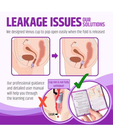 Venus Large Menstrual Cup - High Capacity for Heavy Flow - Made in USA - Medical Grade Silicone - Reusable Period Cup - Unique Design for High Cervix - Purple Large (1 Pack) - Buy Online on GoSupps.com