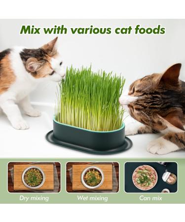 Hejo 2 PCS Cat Grass Seed Tray Plant Bowls for Cat Grass Catnip Cat Grass Box with 1 Plastic Scissors Plastic Soil Free Cat Plant Planting Box for Planting Cat Grass - Buy Online on GoSupps.com