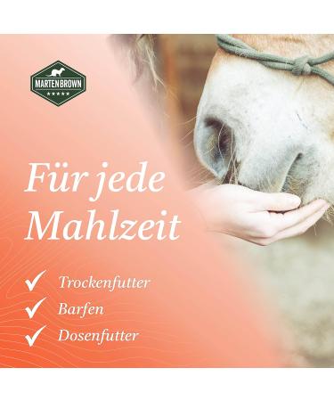 Martenbrown 3L Premium Norwegian Salmon Oil for Dogs Cats & Horses | Fish Oil for Dry & Canned Food | BARF Oil 1-Pack - Buy Online on GoSupps.com