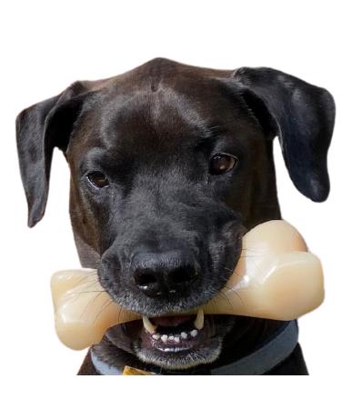 Nylabone Extreme Tough Dog Chew Toy Monster Beef Thigh Cleans Teeth Beef Flavour XXL for Dogs Over 23 kg package may vary