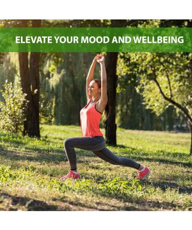 Bodygenix Vitex Agnus Castus Supplement - Reduces Menstrual Irritability & Mood Swings - 2200mg Veg Capsules (240 Count) - Buy Online on GoSupps.com