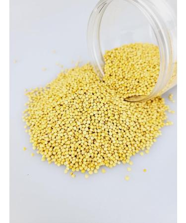 Entirely Ingredients Yellow whole mustard seeds 950g - Selected for Premium Quality - Premium Food Grade - Buy Online on GoSupps.com
