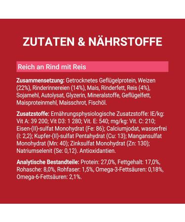 PURINA ONE Mini/S Dry Food for Small Dogs Rich in Beef and Rice 8 x 800 g 8 Cans - Buy Online on GoSupps.com