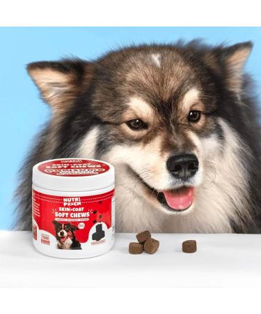 NutriPooch Skin And Coat Dog Supplements - 120 Dog Chews - UK Vet-Approved Allergy Relief for Dogs - Soft Dog Treats for Itchy Skin Shiny Coat Reduce Shedding with Omega 3 Biotin & Collagen - Buy Online on GoSupps.com