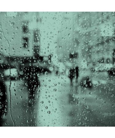 Derek Lam Rain Day Fragrance Mist for Women - 8 oz Body Mist Floral Fresh 8 Fl Oz (Pack of 1) - Buy Online on GoSupps.com