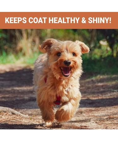 SKIPPER'S Fresh Scottish Salmon Oil for Pets - 100% Pure Omega 3, 6 & 9 Fish Oil Supplement | Promotes Healthy Skin, Coat & Joints - 250 ml - Buy Online on GoSupps.com