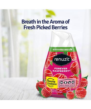 Renuzit Forever Raspberry Air Freshener 12-Pack - Buy Online on GoSupps.com