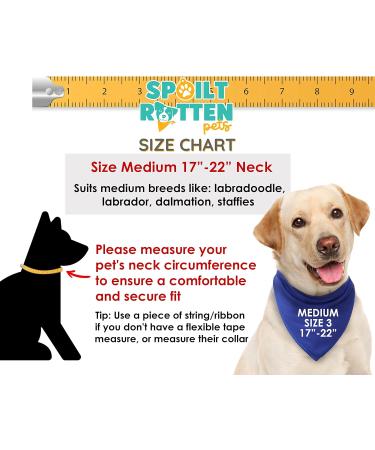 Spoilt Rotten Pets S3 Blue Personalised With Name And Paw Dog Bandana For Any Dog Lover Neck Scarf Dog Costume Fancy Dress (S3 Medium Dogs Labs Staffies & Springers) - Buy Online on GoSupps.com