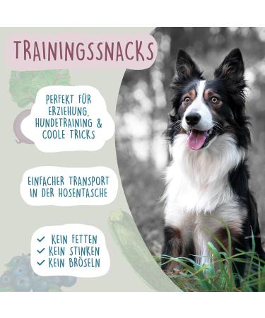 Training Bones for Rabbits with Apple & Kale - 1kg Bucket | Premium Pet Treats for Healthy Pets - Buy Online on GoSupps.com