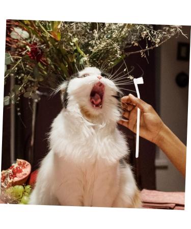 Beavorty 2pcs Home Oral Care Cleaning Dog Tooth Pet Manual Pets Supplies Soft-bristle Portable 1 count (Pack of 1) White - Buy Online on GoSupps.com