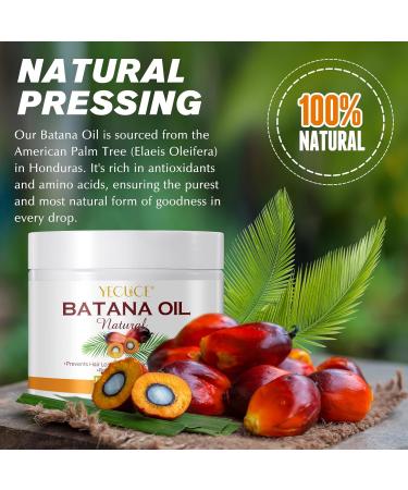 Raw Batana Oil for Hair Growth | 100% Pure Natural from Honduras | Prevent Hair Loss Moisturize Scalp & Enhance Thickness | 220g - Buy Online on GoSupps.com