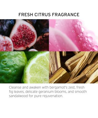 Fekkai Blonde Rx Express Blonde Concentrate 5 oz - Lighten & Lift Blonde Hair | Vegan Cruelty Free Salon Grade - Buy Online on GoSupps.com