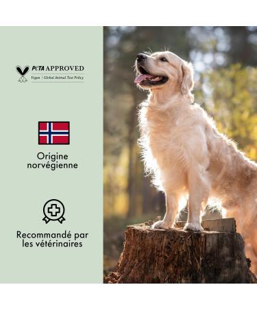 Belly Salmon Oil for Dogs from NORWAY - 0.5L - Cold Pressed - Rich in Omega 3 6 9 Vitamin E - Shiny Coat Strengthened Immune System & Joints - Buy Online on GoSupps.com