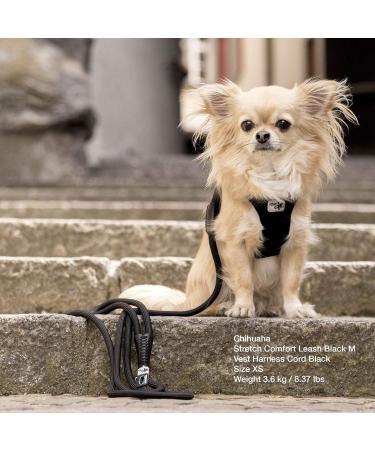 Buy Stretch Comfort Leash Black M - Durable Adjustable International Shipping Available | Best eCommerce Deals - Buy Online on GoSupps.com