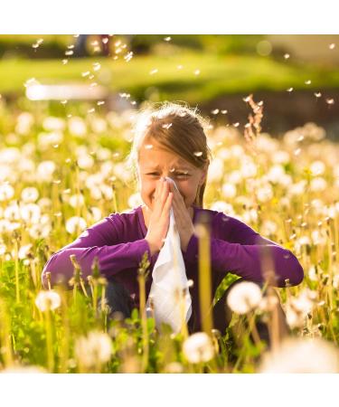 Pollival Nasal Spray 10ml | Fast Relief for Acute Allergy Symptoms | International Shipping Available - Buy Online on GoSupps.com
