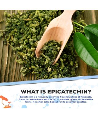 Epicatechin Extract Capsules 250mg - 180 Count | Supports Muscle Growth Nitric Oxide & Myostatin Inhibition | International Shipping Available - Buy Online on GoSupps.com