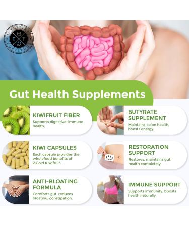 Intestinal Fortitude PREbiotic Gold: Kiwifruit Fiber Butyrate & Prebiotic Restore Supplement to Support The Gut Immune & Digestive Support Anti-Bloating & Leaky Gut Repair Dairy-Free Capsules - Buy Online on GoSupps.com