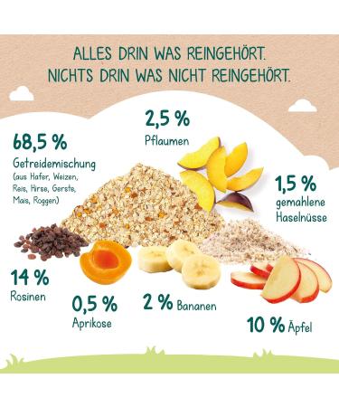 Milupa Children's Muesli Fine Fruits No Added Sugar Cereal for Ages 1-3 | Healthy Baby Breakfast 4 x 400g International Shipping Available - Buy Online on GoSupps.com