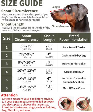 Buy Green Muzzles (4 Pieces Snout 25.4-30.5 cm) - Ideal for Medium Dogs | International Shipping Available - Buy Online on GoSupps.com