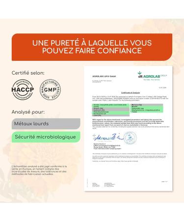 Compl ment Alimentaire pour les Yeux - Lut ine 50 mg + Z axanthine 12 5 mg - 120 G lules Traitement de 4 mois - Avec Vitamine A & B2 - Extrait Naturel de Tag tes V gan et Sans Gluten - Buy Online on GoSupps.com