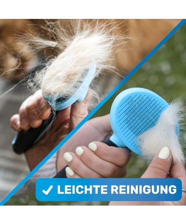 Bluepet Self-Cleaning Fiddling Brush for Cats & Dogs - Long-Haired Fur Care Tool for British Shorthairs - Best Plucking Brush for Pet Grooming - Buy Online on GoSupps.com
