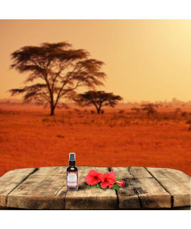 Shea Terra Organics Senegalese Hibiscus Cold Pressed Extra Virgin Oil - Anti-Aging Hair Conditioner & Vitamin E for Dry/Mature Skin - 2 oz - Buy Online on GoSupps.com