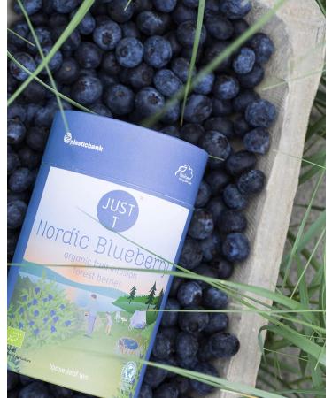 JUST T Nordic Blueberry Premium Loose Leaf Tea (125g) | Organic Fruit Tea Infused with Forest Berries | Organic Loose Tea Organic High-Grown Tea in a Sustainable Storage Tin for All Tea Lovers Nordic Blueberry 125 g - Buy Online on GoSupps.com