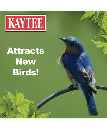 Kaytee Wild Bird Food 10lb Bag - Premium Quality Feed for Birds - Buy Online on GoSupps.com
