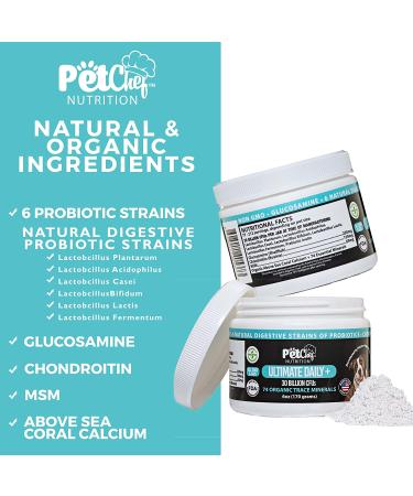 Pet Chef Nutrition Probiotic Powder for Dogs | 30 Billion CFUs, 6 Probiotics, MSM, Chondroitin & Glucosamine | Joint, Gut, Digestive Health - 212 Servings - Buy Online on GoSupps.com