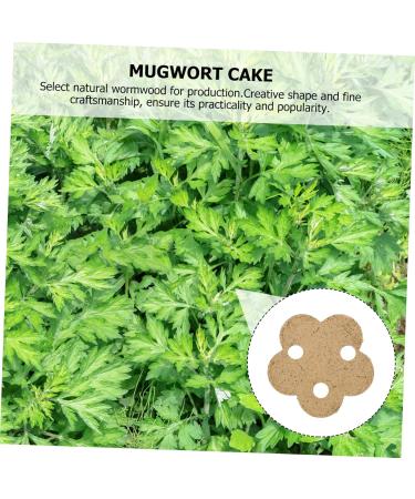 Beaupretty 20st Moxa Cake - Plum Blossom Heat Therapy Sticks for Home Use | Effective Moxibuscy Care Tool - Buy Online on GoSupps.com